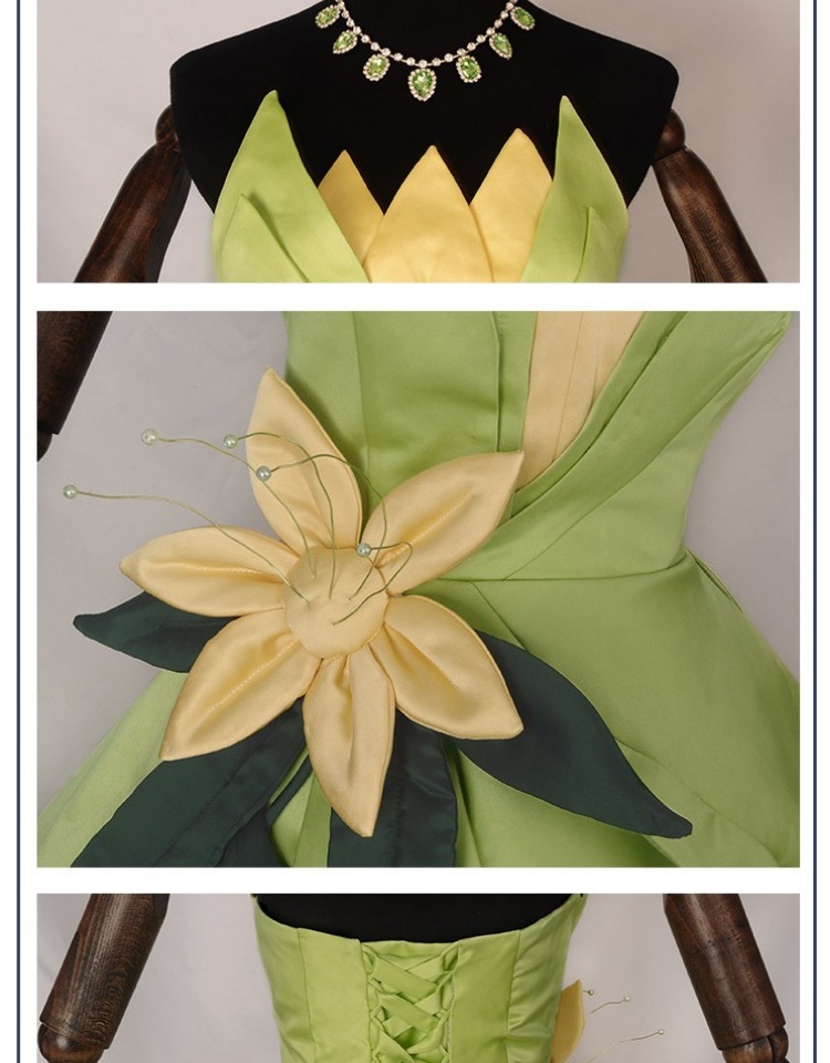 Princess Tiana Dress Cosplay C - огляд і ціна Tech Accessories Women