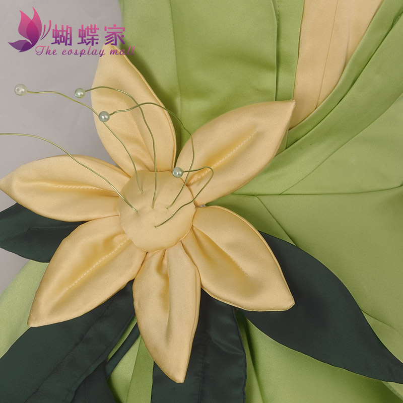 Princess Tiana Dress Cosplay C - огляд і ціна Tech Accessories Women