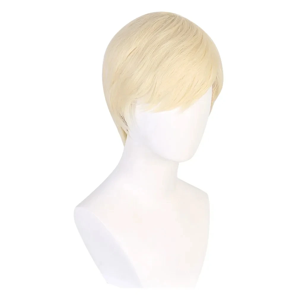 Ken Cosplay Wig Adult Men Heat - огляд і ціна Tech Accessories For Men