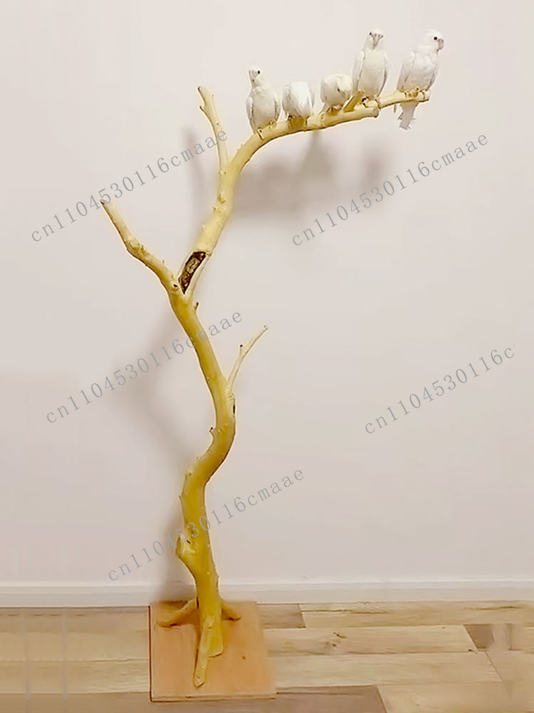 NEW Branch Bird Stand Log Deco - огляд і ціна Tech Room Accessories